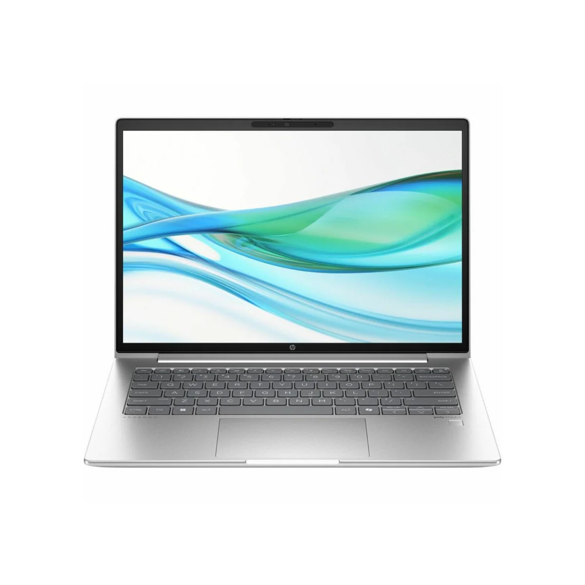 HP PROBOOK 460G11 (CT9N7ET) 